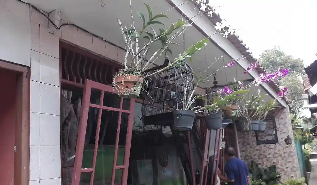 Diro Tailor